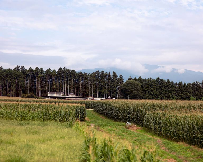 A field